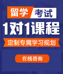 又粗又大大鸡吧操逼特黄视频留学考试一对一精品课